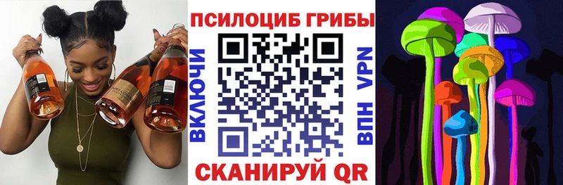 Псилоцибиновые грибы Psilocybe  Короча 